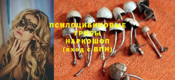 шишки Бронницы